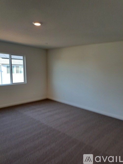 A room with a carpeted floor and a window.