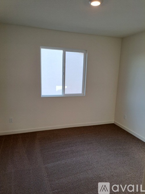 A room with a carpeted floor and a window.