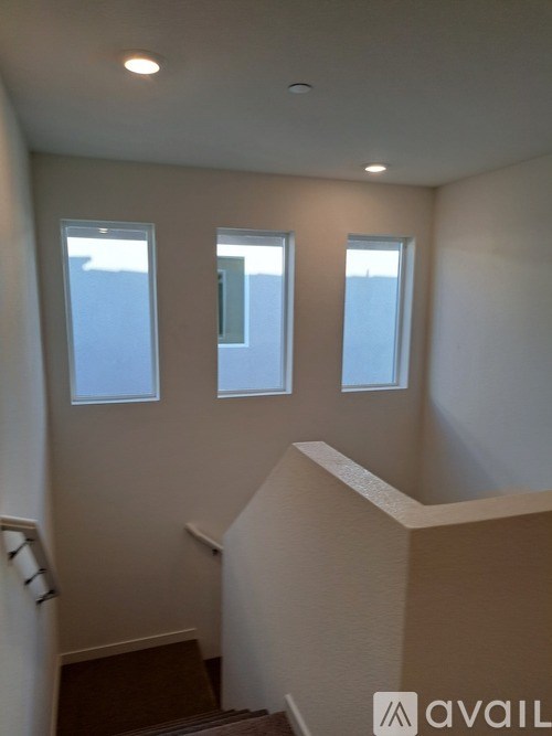 A staircase with a carpeted runner and a wall with three windows.
