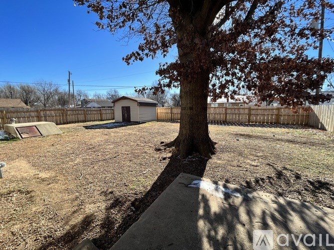 A backyard with a tree, a shed, and a fence.