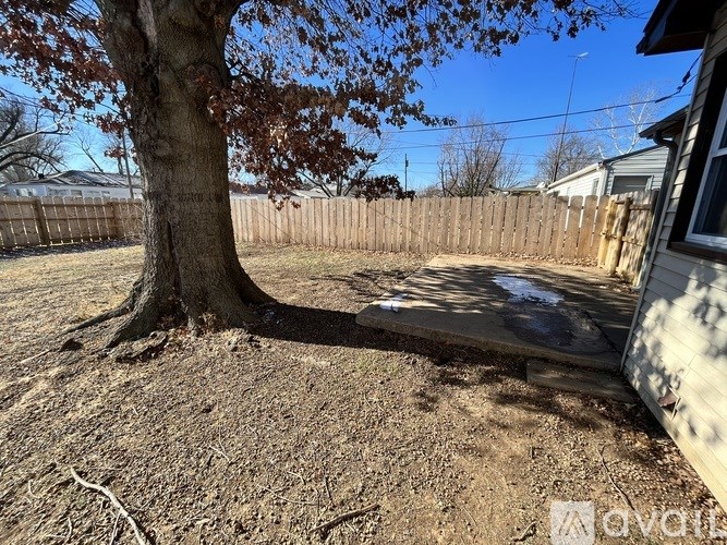 A tree in a backyard with a wooden fence.