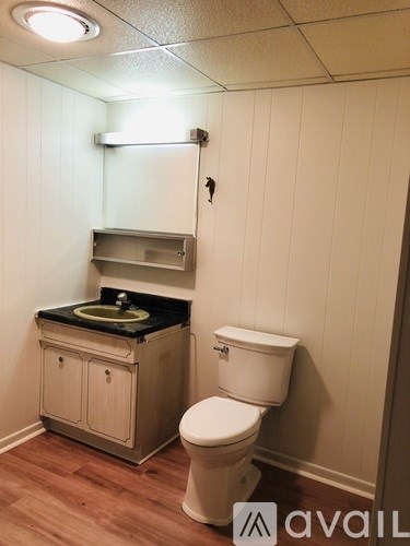 A bathroom with a toilet and a sink.