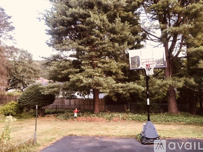 A basketball hoop is mounted on a pole in a grassy area.