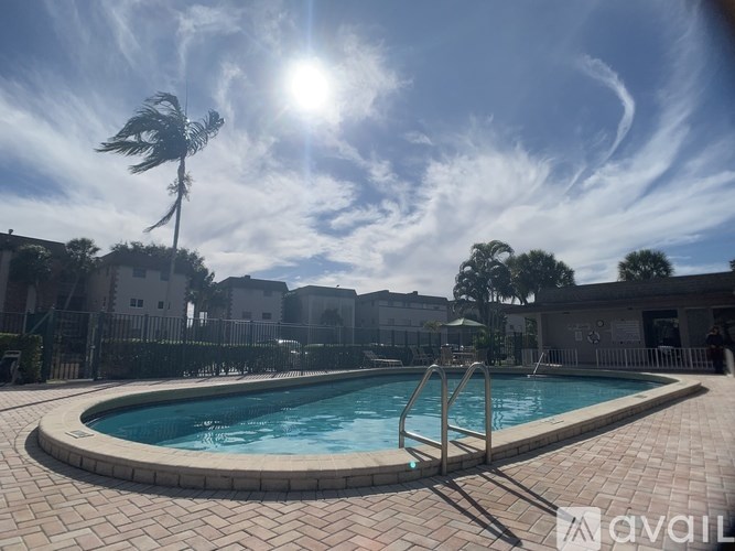 A sunny day at the pool with a palm tree in the background.
