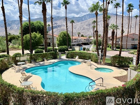 A pool surrounded by palm trees and bushes.