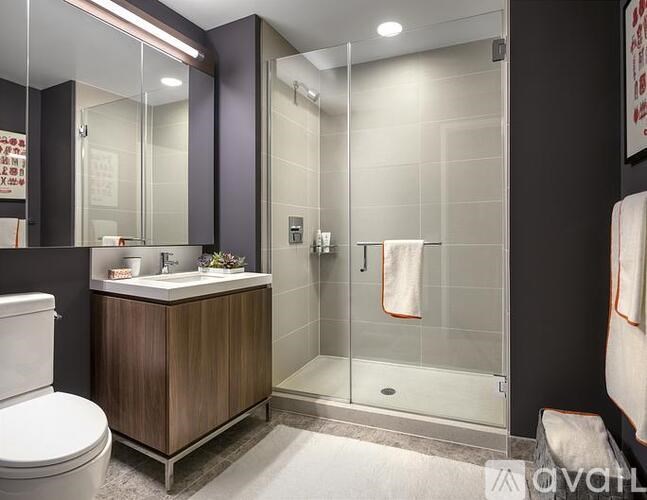 A modern bathroom with a walk-in shower and a toilet.