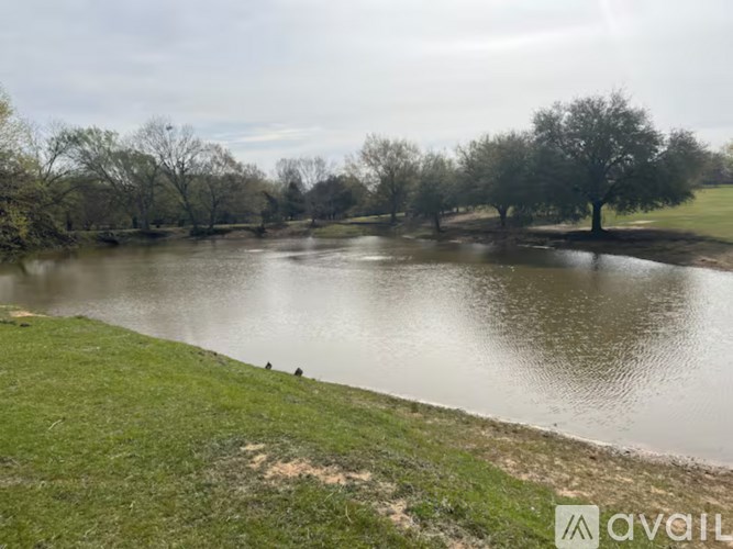 A body of water surrounded by trees and grass.