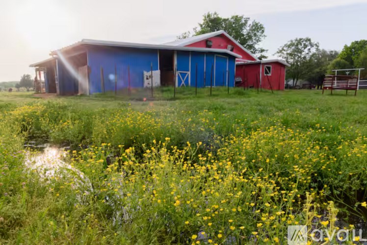 A red barn with a blue door stands in a field of yellow flowers.
