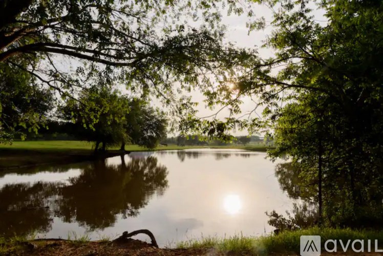 A serene lake surrounded by trees with the sun shining through the branches.
