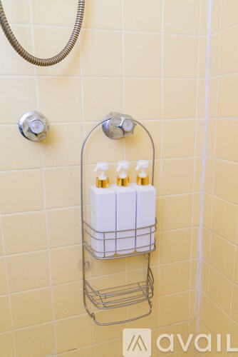 A shower caddy with bottles of shampoo and conditioner hangs on a yellow tiled wall.