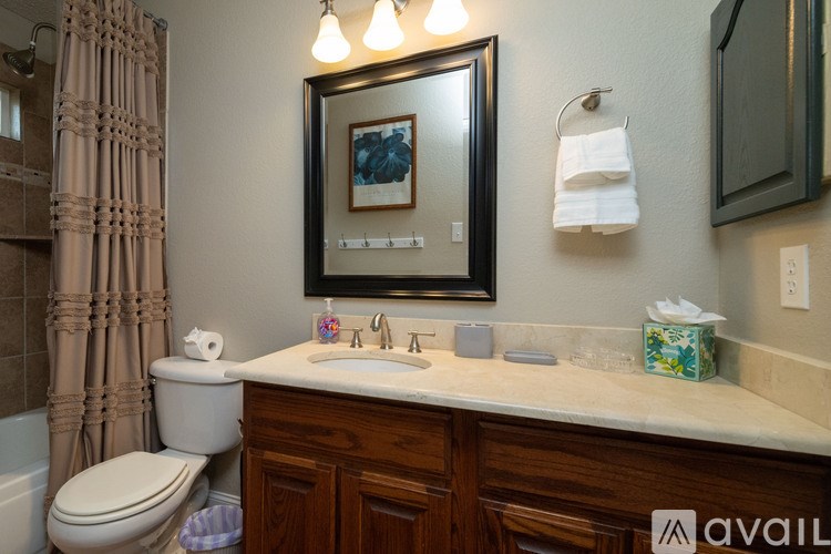 A bathroom with a toilet, sink, and a mirror.