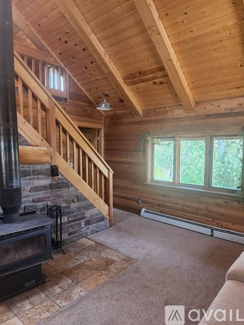 A wood-burning stove is in a living room with a wood floor and a wood ceiling.