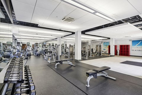 Park View Gym Weight Rack