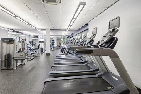 Park View Gym and Equipment