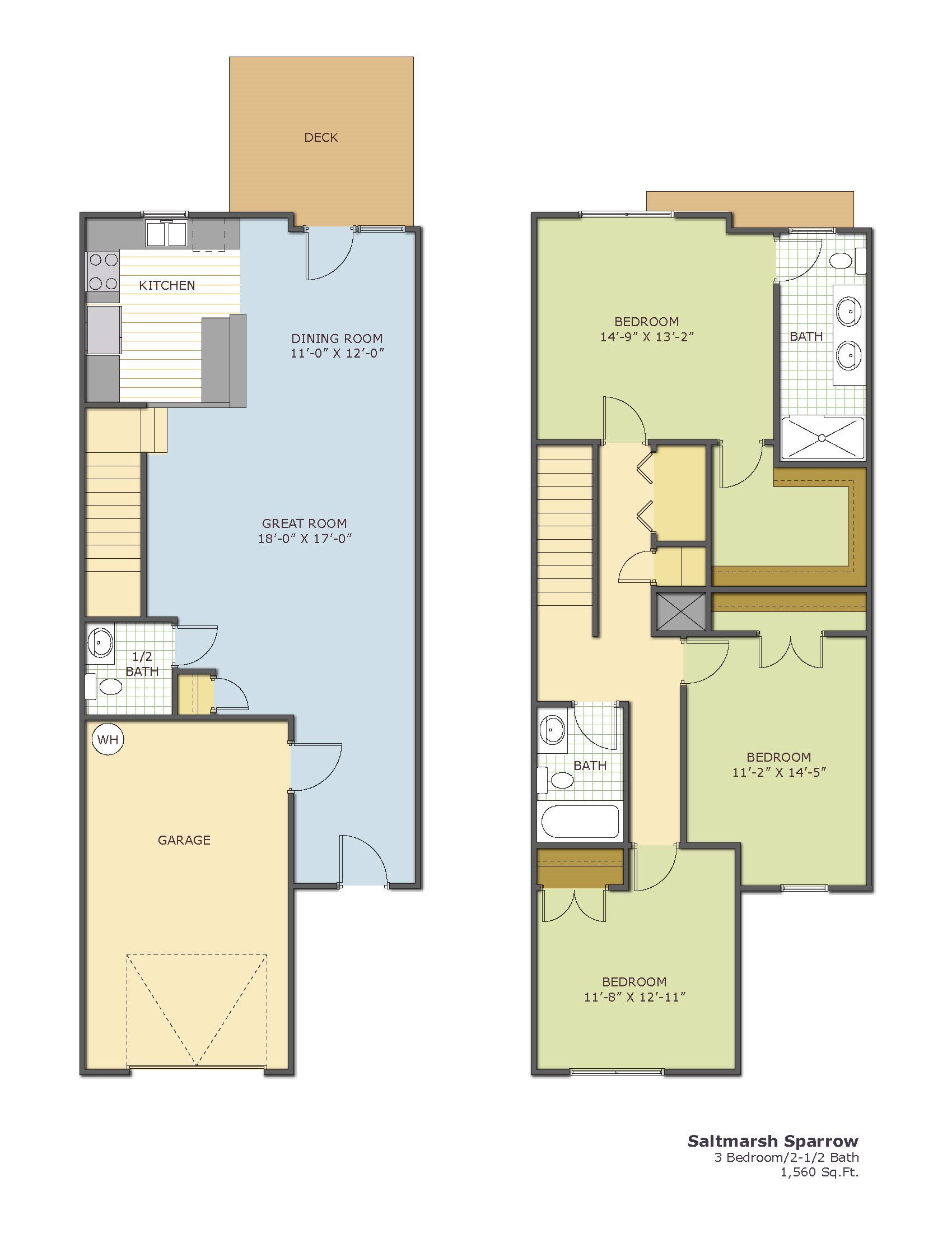 Saltmarsh Sparrow - Townhouse Floor Plan 16