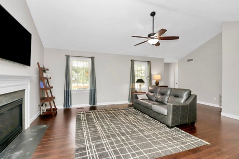 A living room with a grey sofa and a checkered rug.