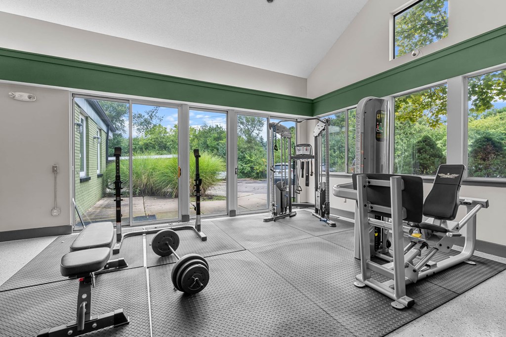 A gym with a view of the outdoors through large windows.