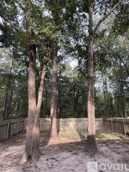 A group of trees in a fenced area with a ground covered in dirt.