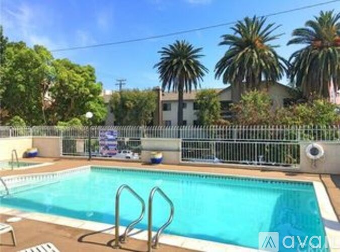 A pool surrounded by palm trees and a fence.