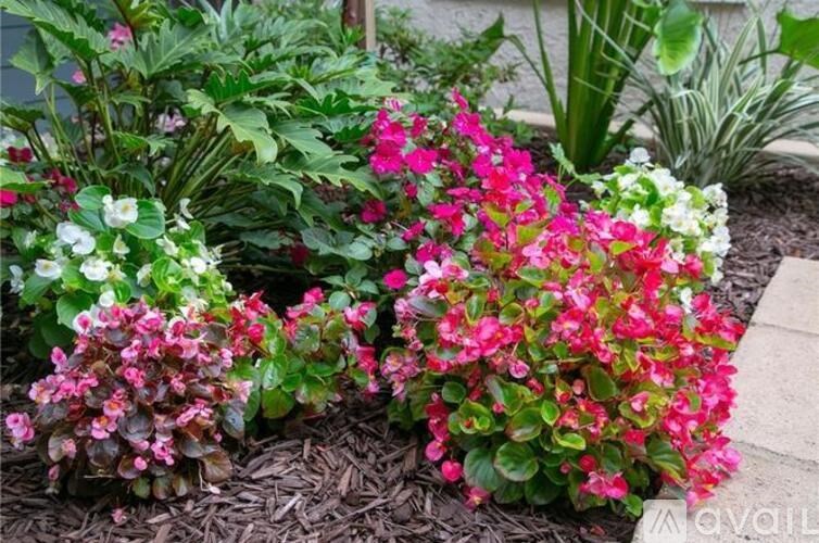 A garden with pink and white flowers.
