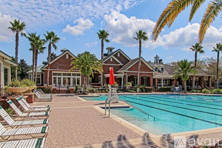 A pool surrounded by palm trees and lounge chairs.
