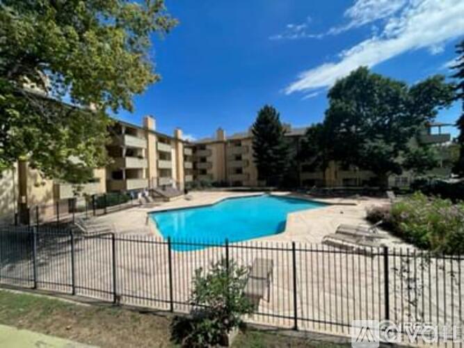 A black fence surrounds a blue swimming pool.