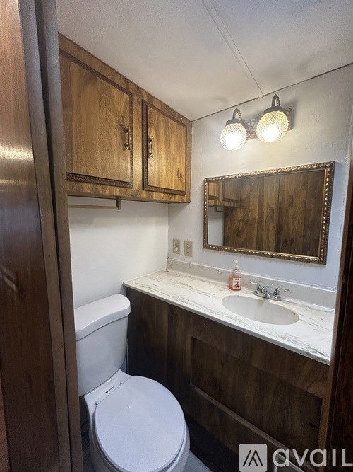 A bathroom with a toilet, sink and mirror.