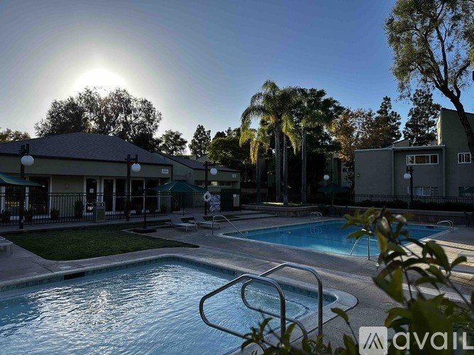 A pool area with a sunlit sky and palm trees.