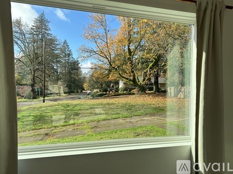 A view from a window looking out to a grassy area with trees.
