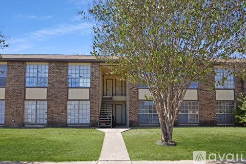 A tree is in front of a building with a lava sign in the foreground.