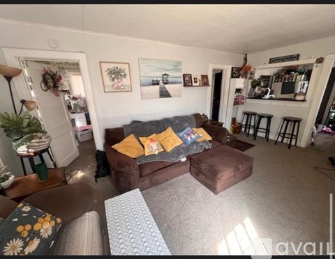 A living room with a brown couch and a grey rug.