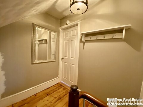 A hallway with a white door, a mirror, and a light fixture.