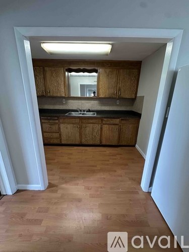 A kitchen with wooden cabinets and a countertop.