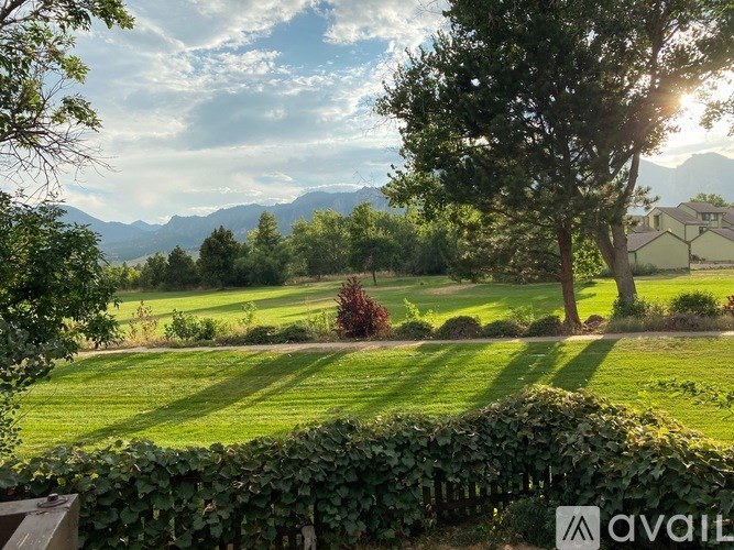 A lush green lawn with a tree and a house in the background.
