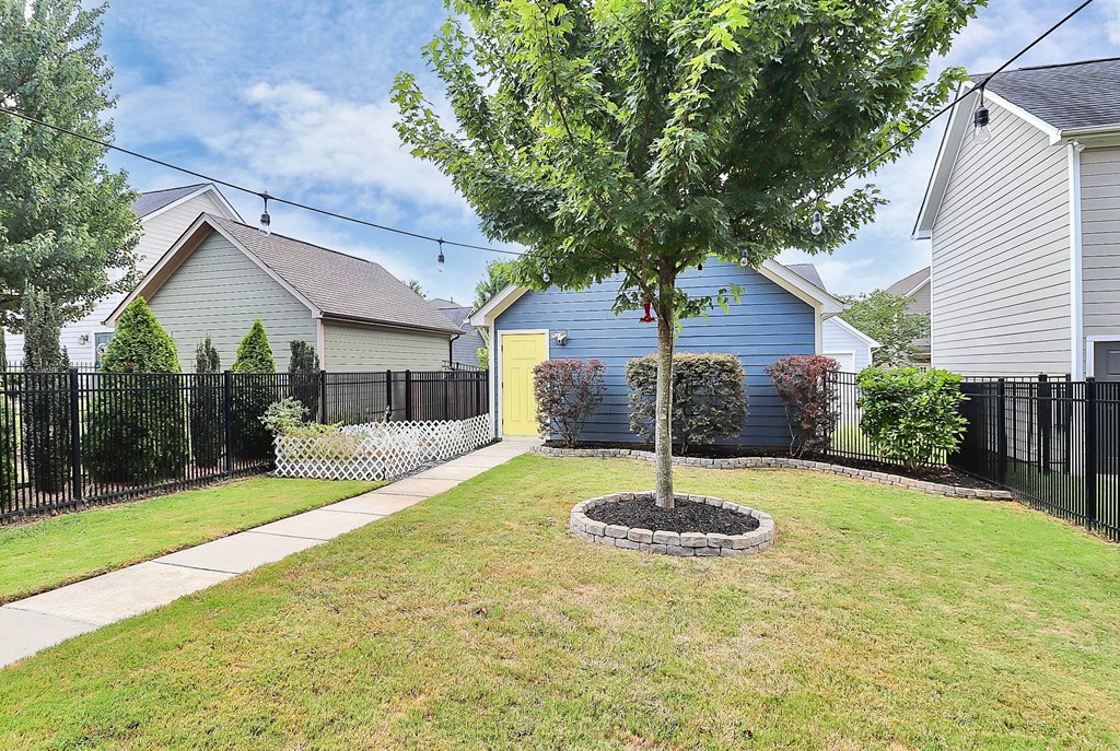 A tree in a circle of stones is in the middle of a lawn.