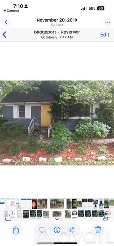 A small house with a yellow door surrounded by greenery.
