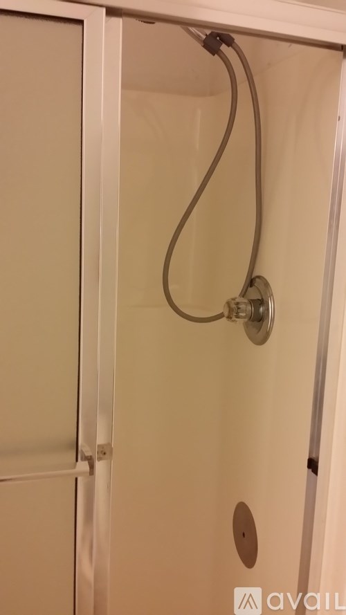 A shower head mounted on a glass door.
