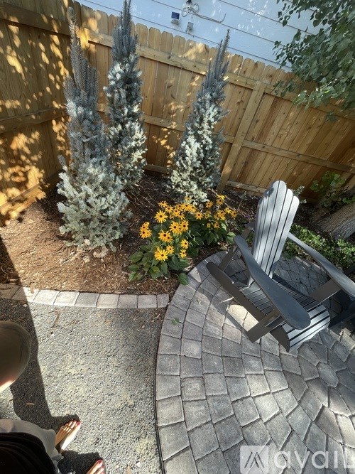A person is sitting on a chair in a backyard with a pine tree and flowers.