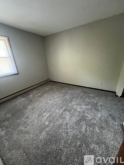 A room with a grey carpet and a window with blinds.
