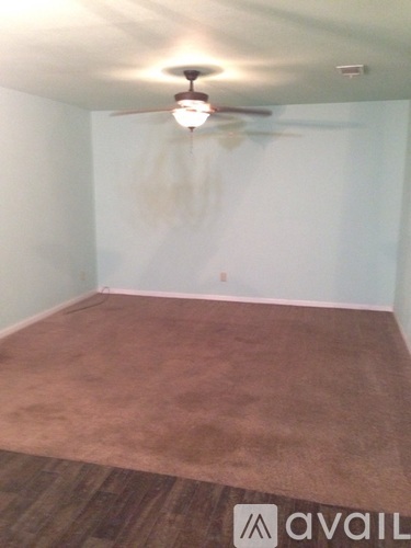 A room with a carpet and a ceiling fan.