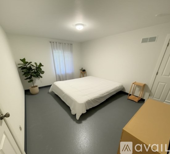 A bedroom with a white bed and a plant on the floor.