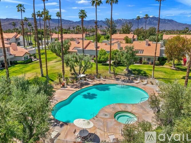 A pool surrounded by palm trees and houses.
