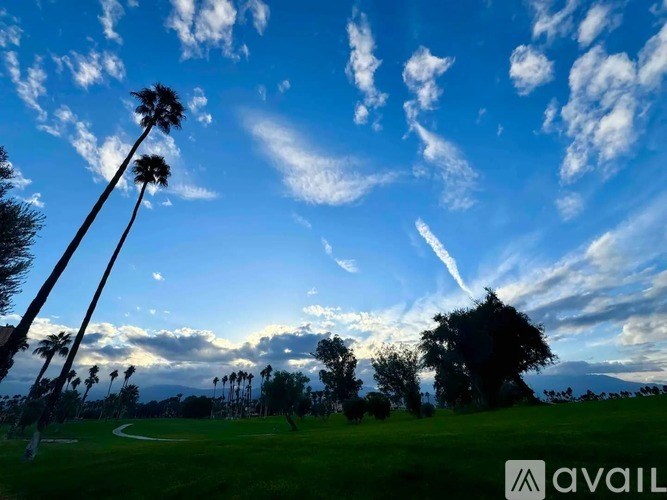 A golf course with palm trees and a clear sky.