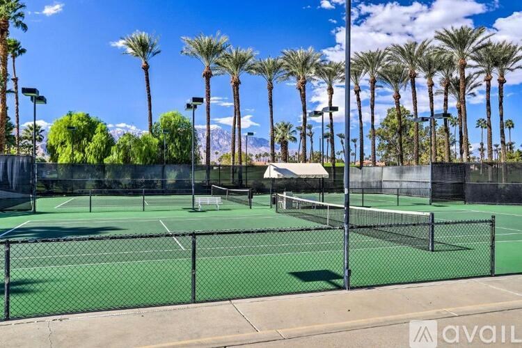 Tennis court surrounded by palm trees under a blue sky.