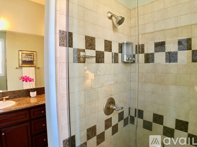 A bathroom with a checkered tile shower wall.