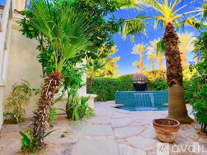 A garden with a pool and palm trees.
