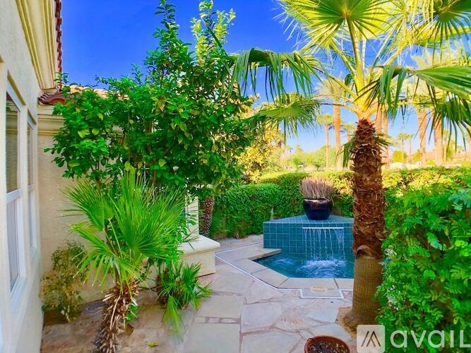 A backyard with a pool and a palm tree.