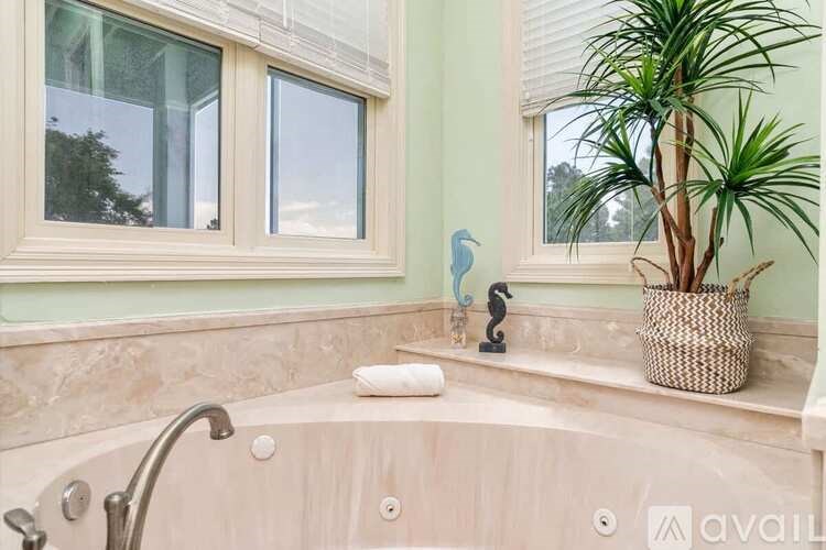 A bathroom with a tub, a plant, and a window.