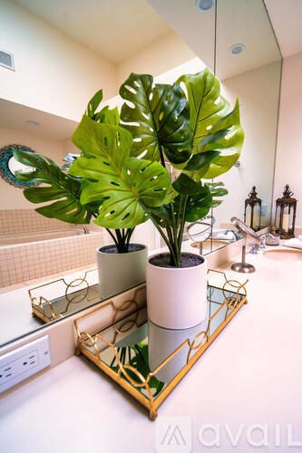 A large green leafy plant sits in a white pot on a gold tray.