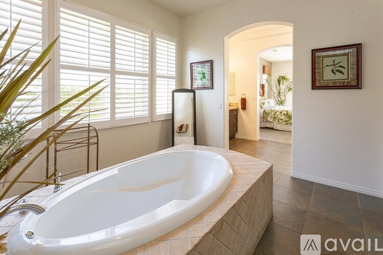A bathroom with a large tub and a plant.